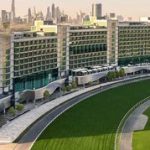 Expo City Freezone License Types